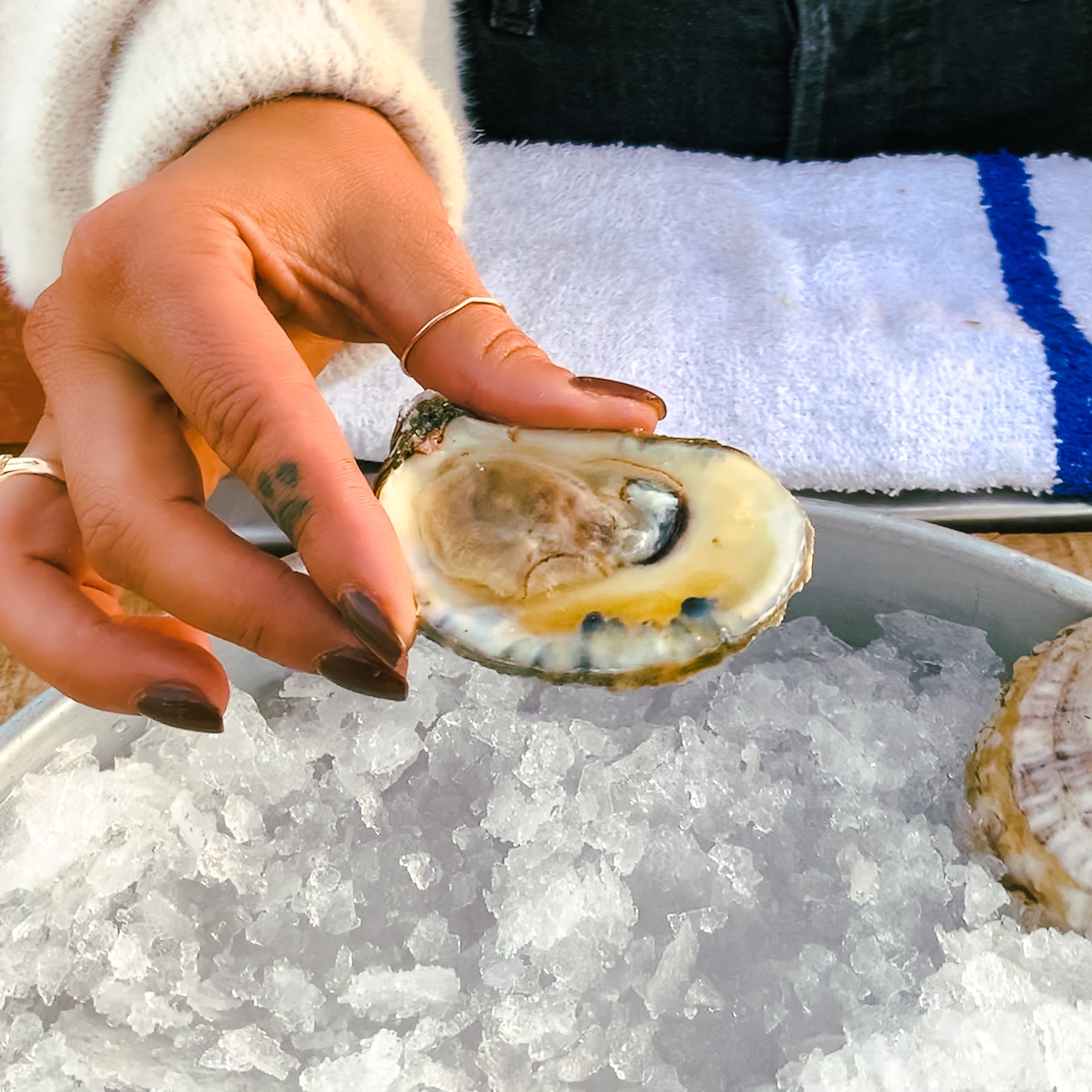 Blue Point Oysters On Demand Delivery H H Fresh Fish Santa